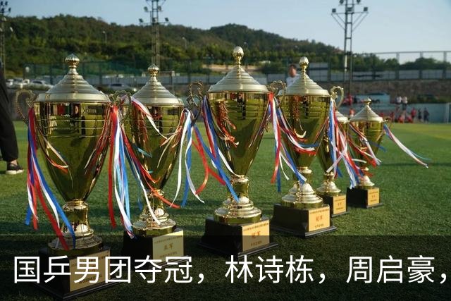 国乒男团夺冠，林诗栋，周启豪，向鹏各拿1分
